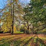 דירה Historic In With Garden
