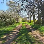 Historic In With Garden דירה Gerdshagen