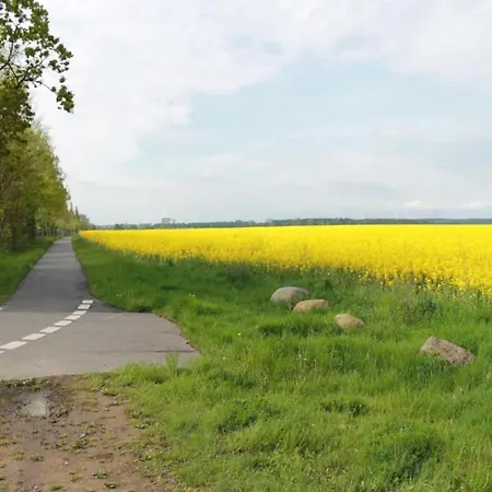 Lejlighed Historic In With Garden