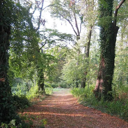 Historic In With Garden Lejlighed *