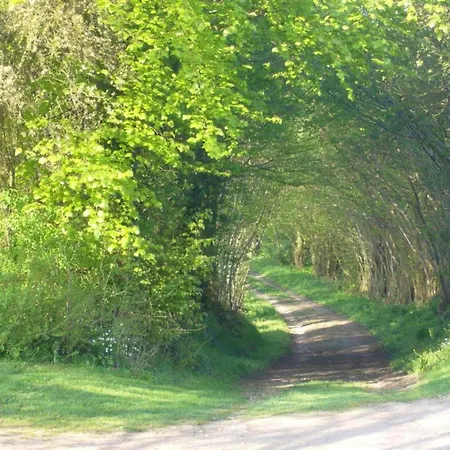 Lejlighed Historic In With Garden Gerdshagen