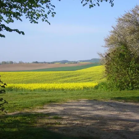 Historic In With Garden Lejlighed *