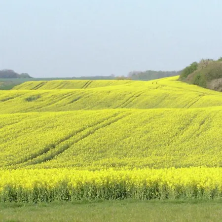 Historic In With Garden *