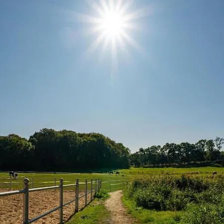 Historic In With Garden