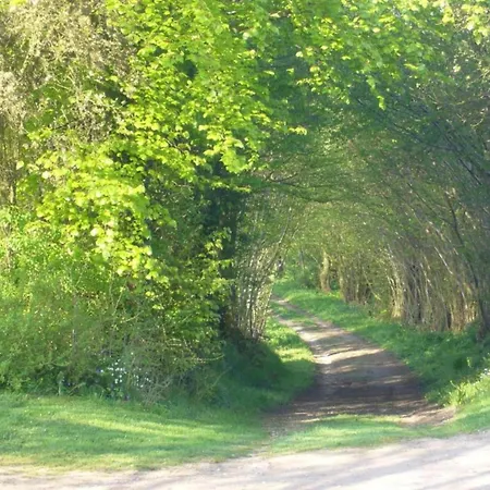 Historic In With Garden Gerdshagen