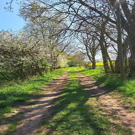 Historic In With Garden Lejlighed