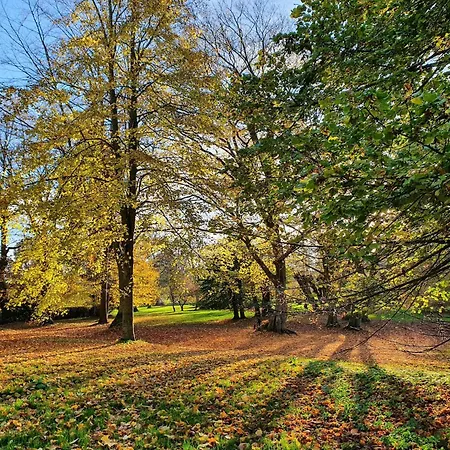 Historic In With Garden *