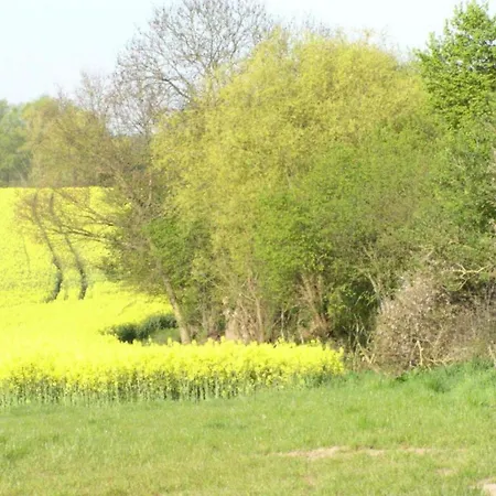 Historic In With Garden Lejlighed Gerdshagen