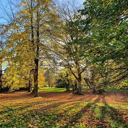 Historic In With Garden Appartement *