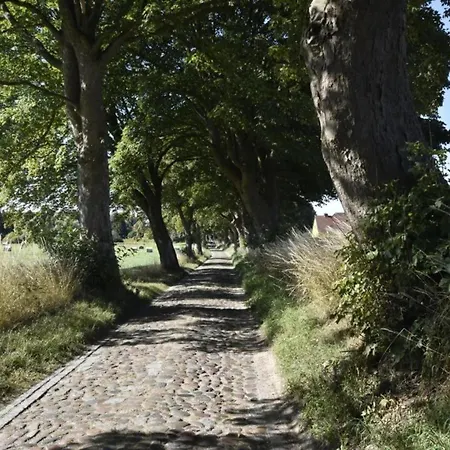 Historic In With Garden Gerdshagen