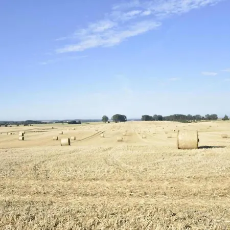 Historic In With Garden Appartement Gerdshagen