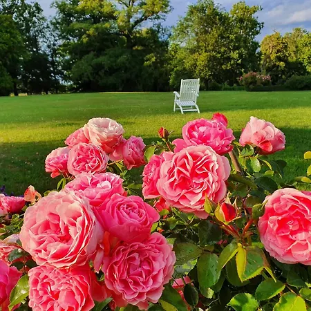 Historic In With Garden Gerdshagen
