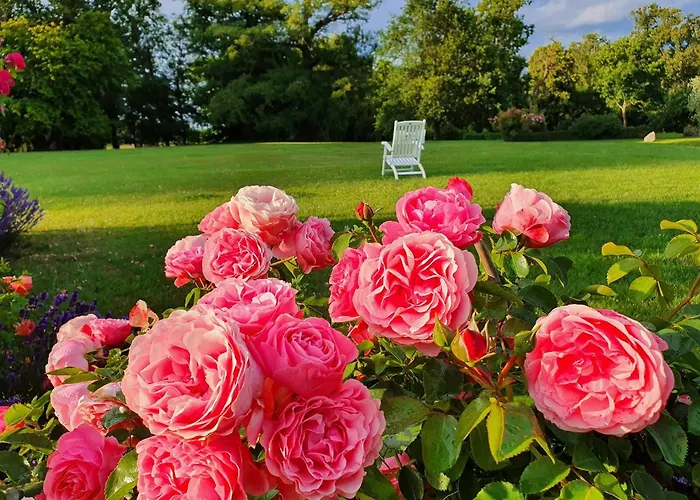Historic In With Garden Gerdshagen